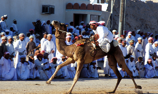 Traditional sports in Oman – relics of the rich Arabian history – Your Middle East